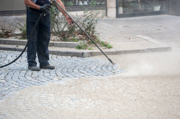 Best Roof Washing  in Shelburn, IN