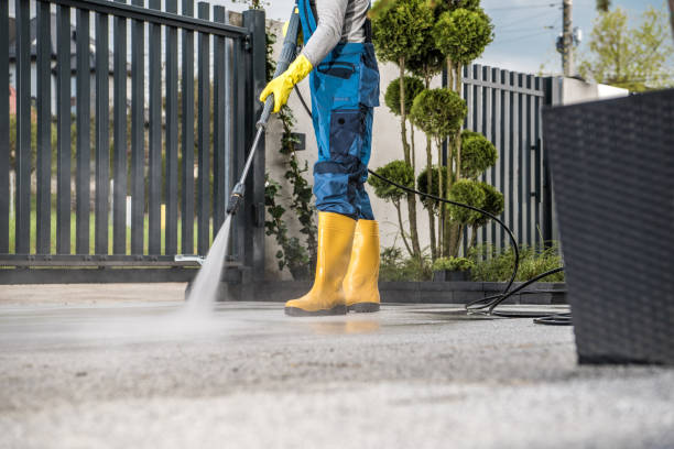 Best House Exterior Washing  in Shelburn, IN